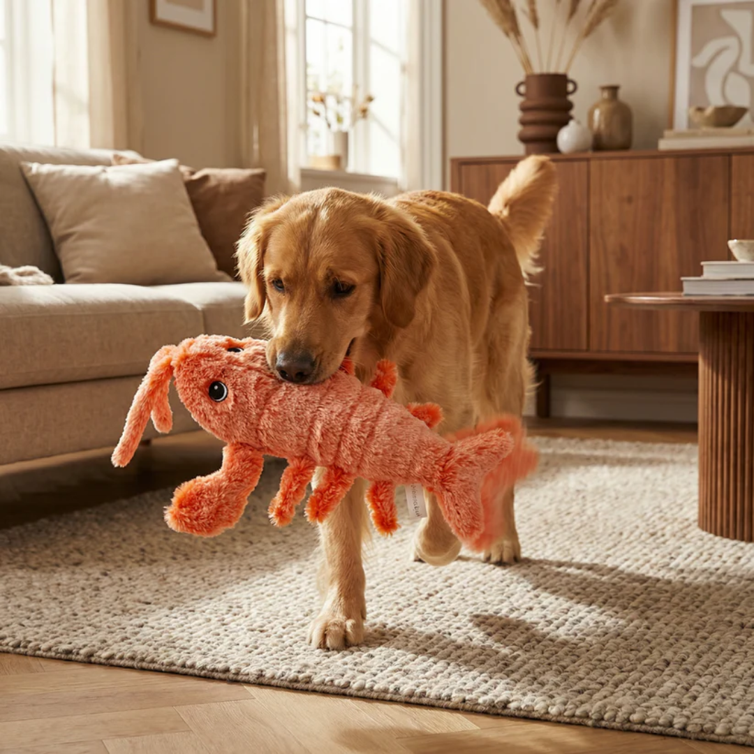 LekHummern™ - Evig lek för glada tassar