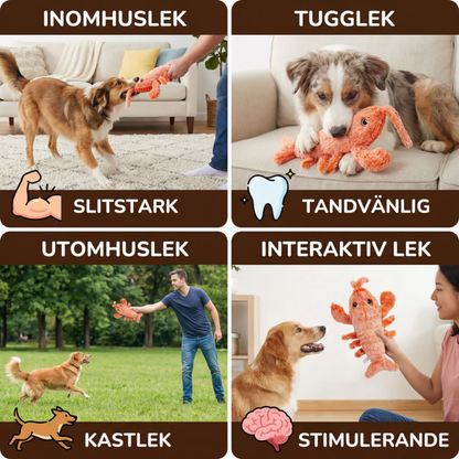 LekHummern™ - Evig lek för glada tassar