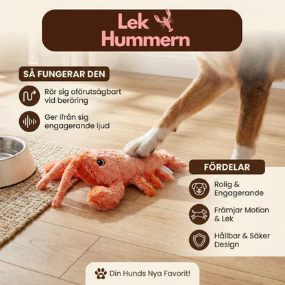 LekHummern™ - Evig lek för glada tassar